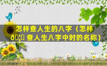 怎样查人生的八字（怎样 🦍 查人生八字中时的名称）